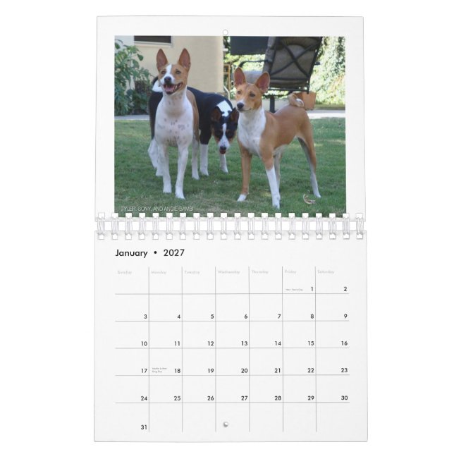 Mural Basenjis de calendrier de Socal 2010 (Jan 2027)