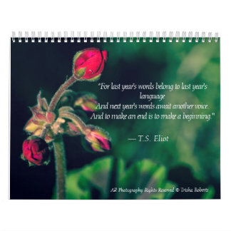 Mural Beau calendrier 2018 de photographie de variété