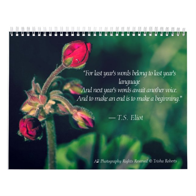 Mural Beau calendrier 2018 de photographie de variété (Protection)