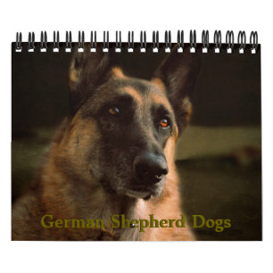 Mural Beau calendrier de chien de berger allemand