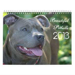 Mural Beau calendrier de chien de Pitbulls 2013