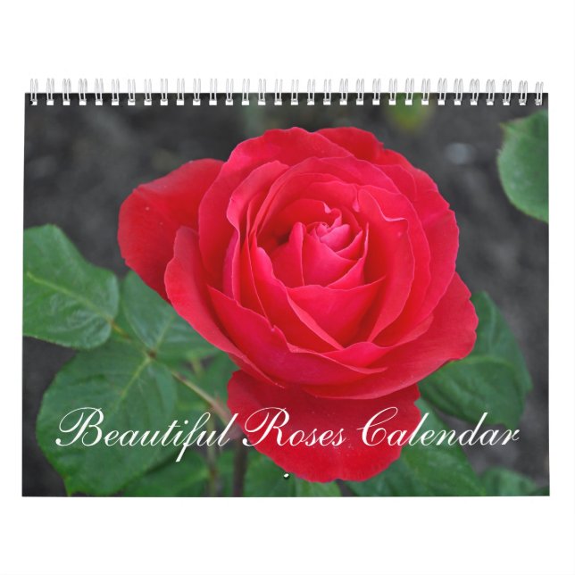 Mural Beau calendrier de roses (Protection)