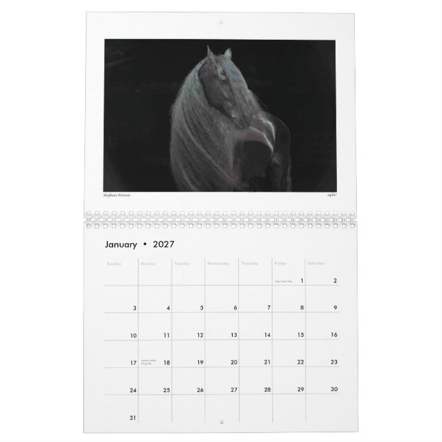 Mural Beauté du calendrier 2015 de cheval (Jan 2027)