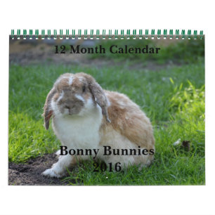 Mural Bonny Bunnies Calendrier des 12 mois 2016