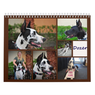 Mural Bouteur le calendrier de chien de thérapie