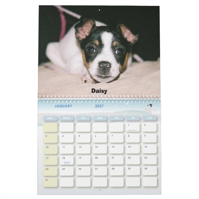 Mural Calendrier 2007 de Rat terrier (Jan 2027)