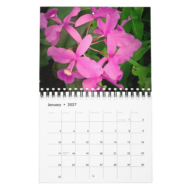Mural Calendrier 2009 : Une année des orchidées d'Hawaï (Jan 2027)