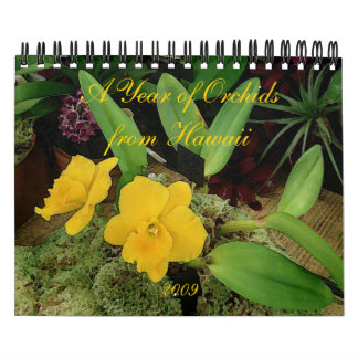 Mural Calendrier 2009 : Une année des orchidées d'Hawaï
