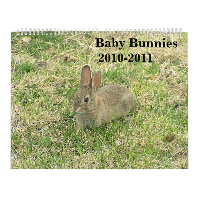 Mural Calendrier 2010-2011 de lapin de bébé (Protection)