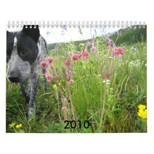 Mural Calendrier 2010 de nature