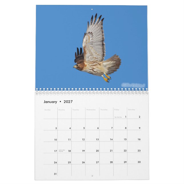 Mural Calendrier 2010 de Raptor (Jan 2027)