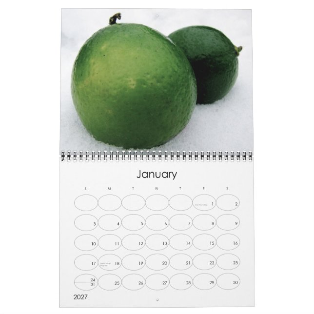 Mural Calendrier 2011 (Jan 2027)