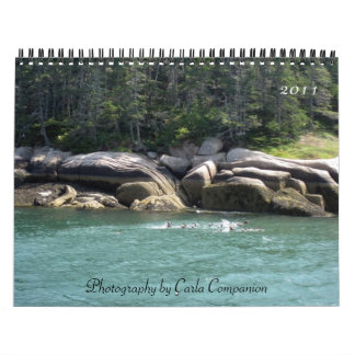 Mural Calendrier 2011