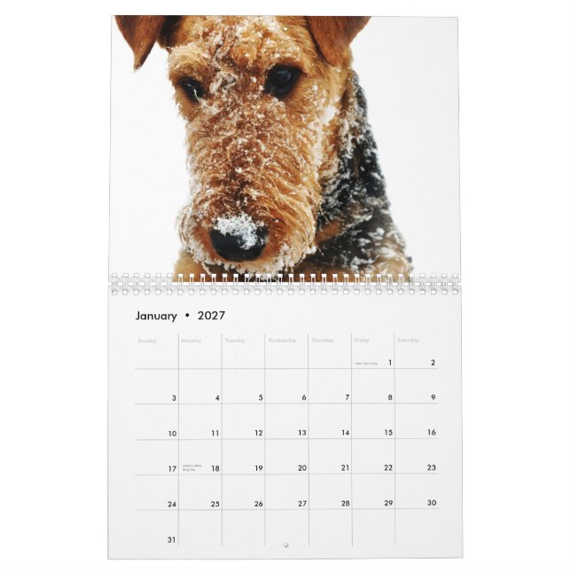 Mural Calendrier 2011 d'Airedale Terrier (Jan 2027)