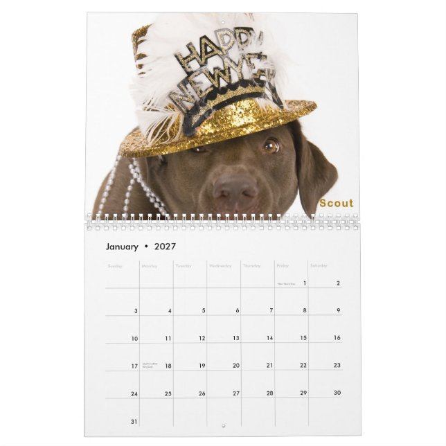 Mural Calendrier 2011 de DaisyCares (Jan 2027)