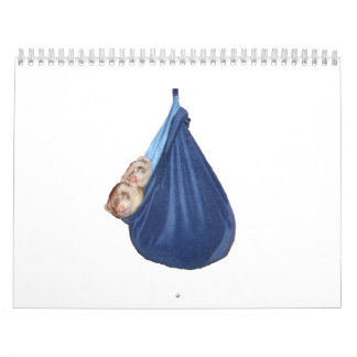 Mural Calendrier 2011 de furet