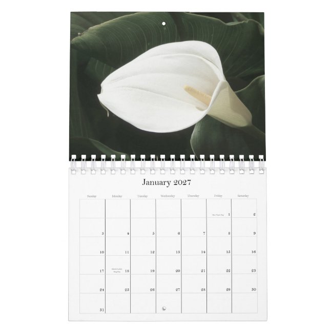 Mural Calendrier 2011 floral (Jan 2027)