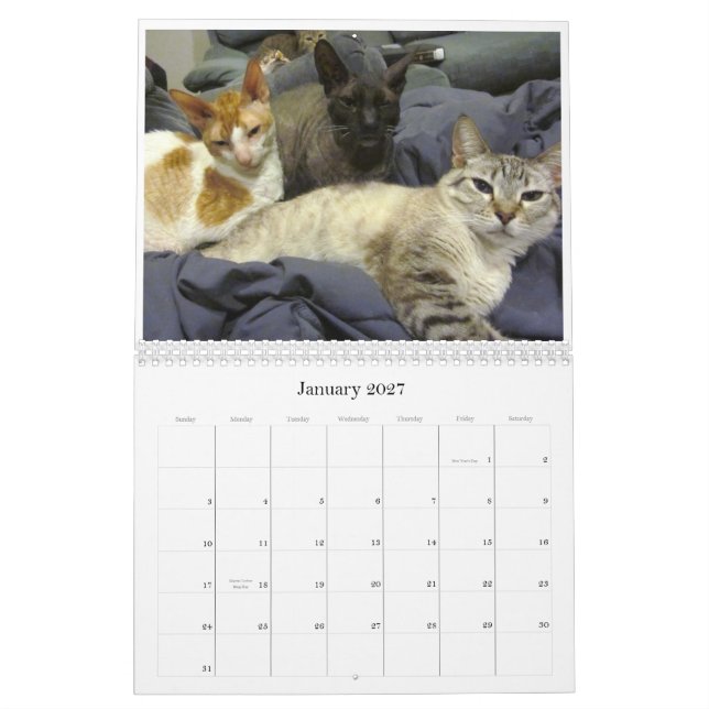 Mural Calendrier 2012 (Jan 2027)