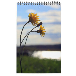 Mural Calendrier 2012