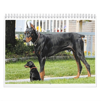 Mural Calendrier 2012 de dobermann