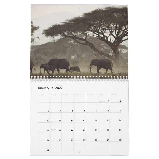 Mural Calendrier 2012 de nature (Jan 2027)