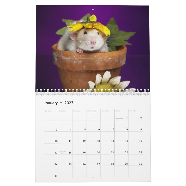 Mural calendrier 2012 de rat (Jan 2027)