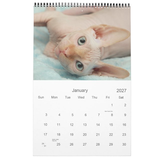 Mural Calendrier 2012 de Sphynx (Jan 2027)
