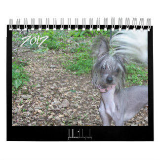 Mural calendrier 2012 pour chiens sans cheveux