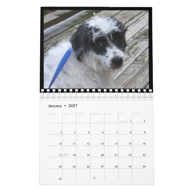 Mural calendrier 2012 pour chiens sans cheveux (Jan 2027)