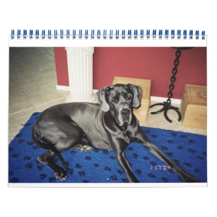 Mural Calendrier 2012 van SundayStyle Edition