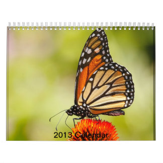 Mural calendrier 2013