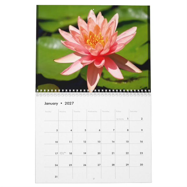 Mural calendrier 2013 (Jan 2027)