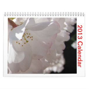 Mural Calendrier 2013