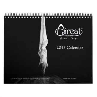 Mural Calendrier 2013 aérien de yoga d'Aircat