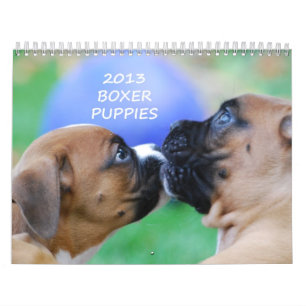 Mural Calendrier 2013 de chiot de boxeur
