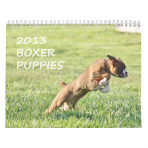 Mural Calendrier 2013 de chiot de boxeur