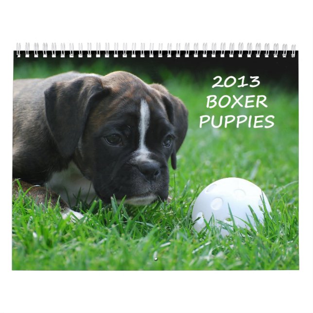 Mural Calendrier 2013 de chiot de boxeur (Protection)