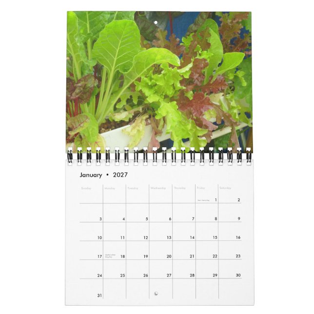 Mural Calendrier 2013 de la piscine de jardin - Petite (Jan 2027)