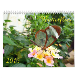 Mural Calendrier 2013 de papillon
