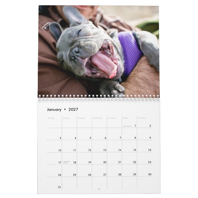 Mural Calendrier 2013 de poulet (Jan 2027)