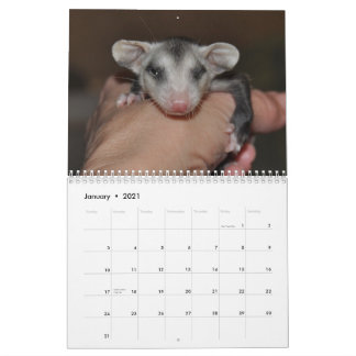 Mural Calendrier 2014 - Babies Possum