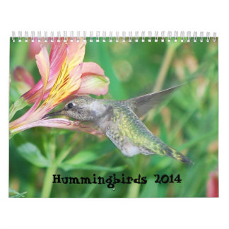 Mural Calendrier 2014 de colibri