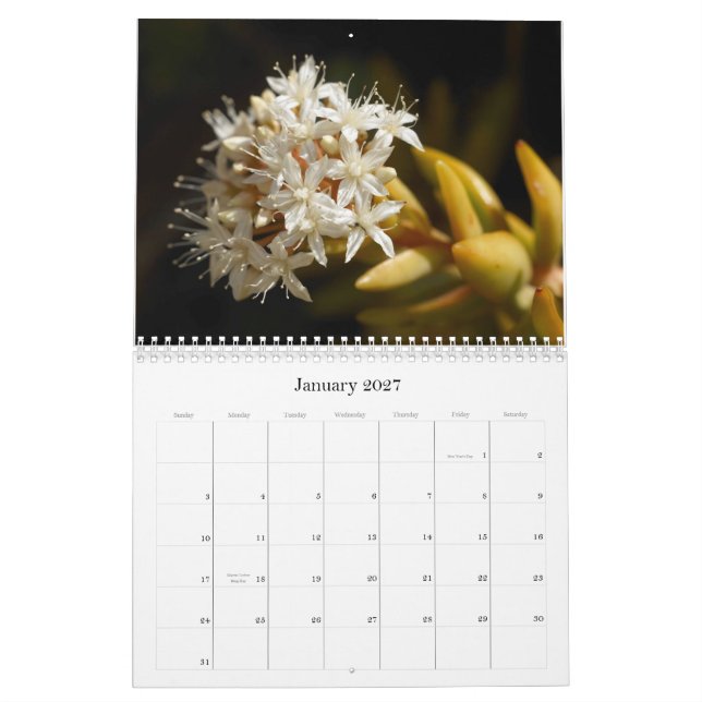 Mural Calendrier 2014 de Little Critters (Moyen) (Jan 2027)