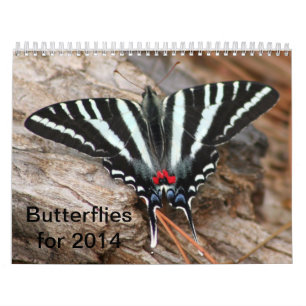 Mural Calendrier 2014 de papillon