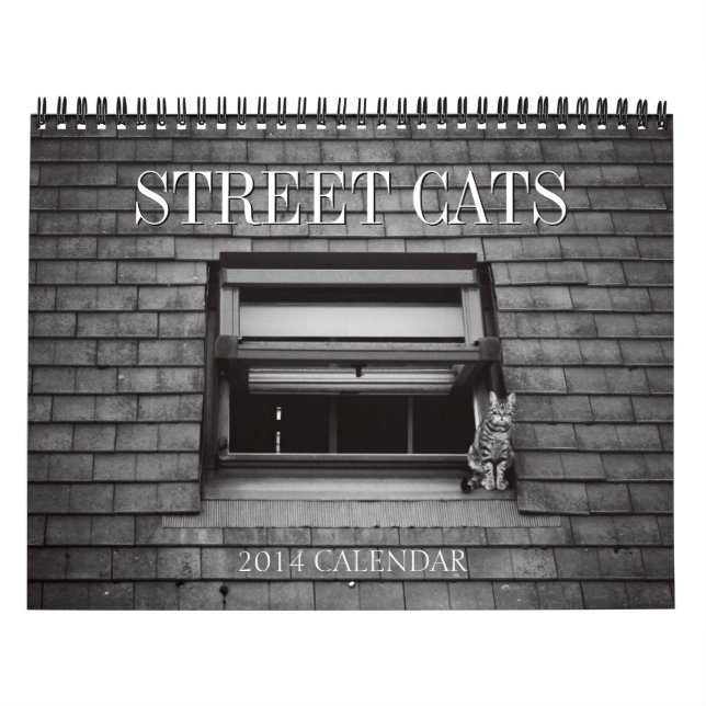 Mural Calendrier 2014 de photographie de chats de rue (Protection)