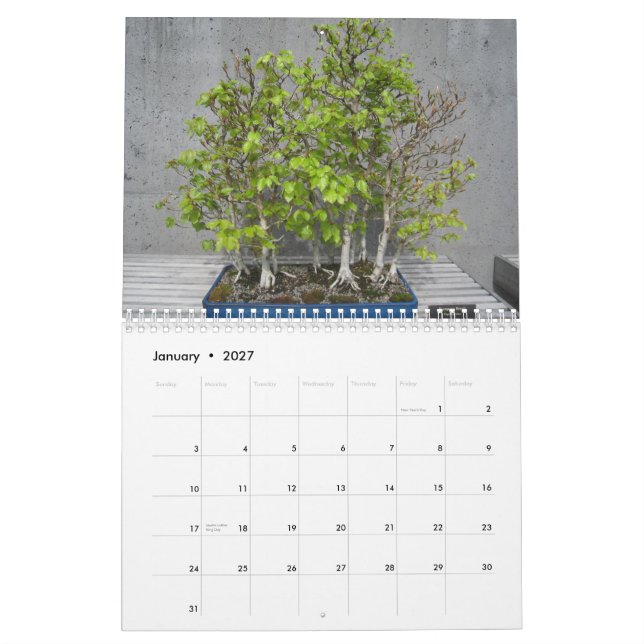 Mural Calendrier 2015 avec Bonsai (Jan 2027)