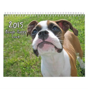 Mural Calendrier 2015 d'amour de chiot de boxeur