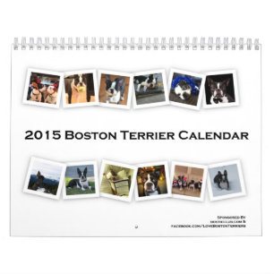 Mural Calendrier 2015 de Boston Terrier