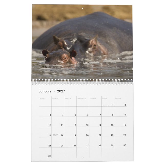 Mural Calendrier 2015 de l'Afrique par la faune de (Jan 2027)