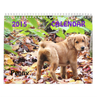 Mural Calendrier 2015 de penny